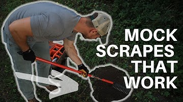 Making Mock Scrapes to Hunt Mature Bucks & FOOD PLOT UPDATE