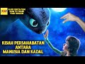 Juru Kunci Naga Si Penyelamat Dua Kehidupan - ALUR CERITA FILM How To Train Your Dragon