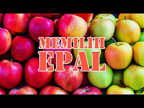 Video: Cara Memilih Epal
