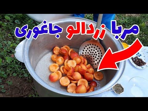 تهیه مربا از زردالو جاغوری در چهار دقیقه