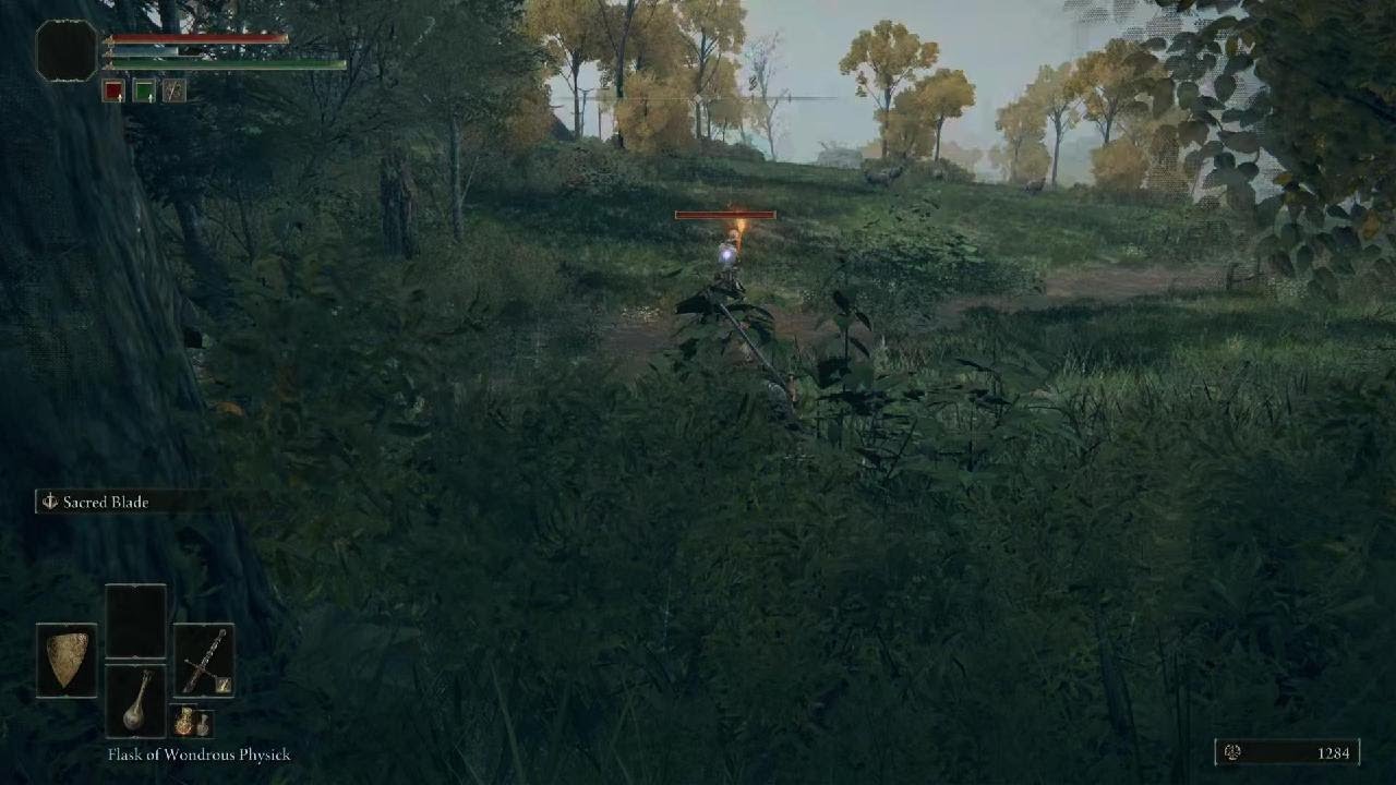 ELDEN RING Holy weapon test