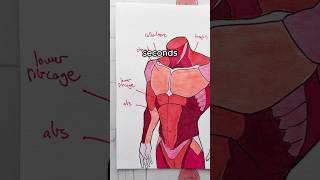 How to Draw MUSCLES Like a PRO!! 💪🎨 #arttutorial