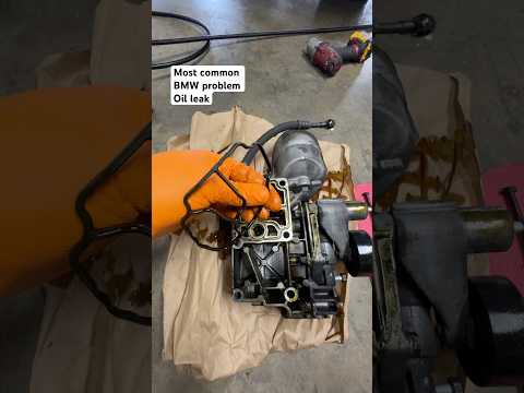 BMW E46 oil leak #bmw #e46