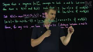 Limits of Convergent Sequences are Unique