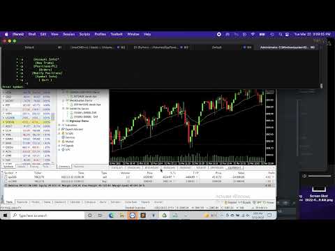 MT5 AlgoTrading (Python)