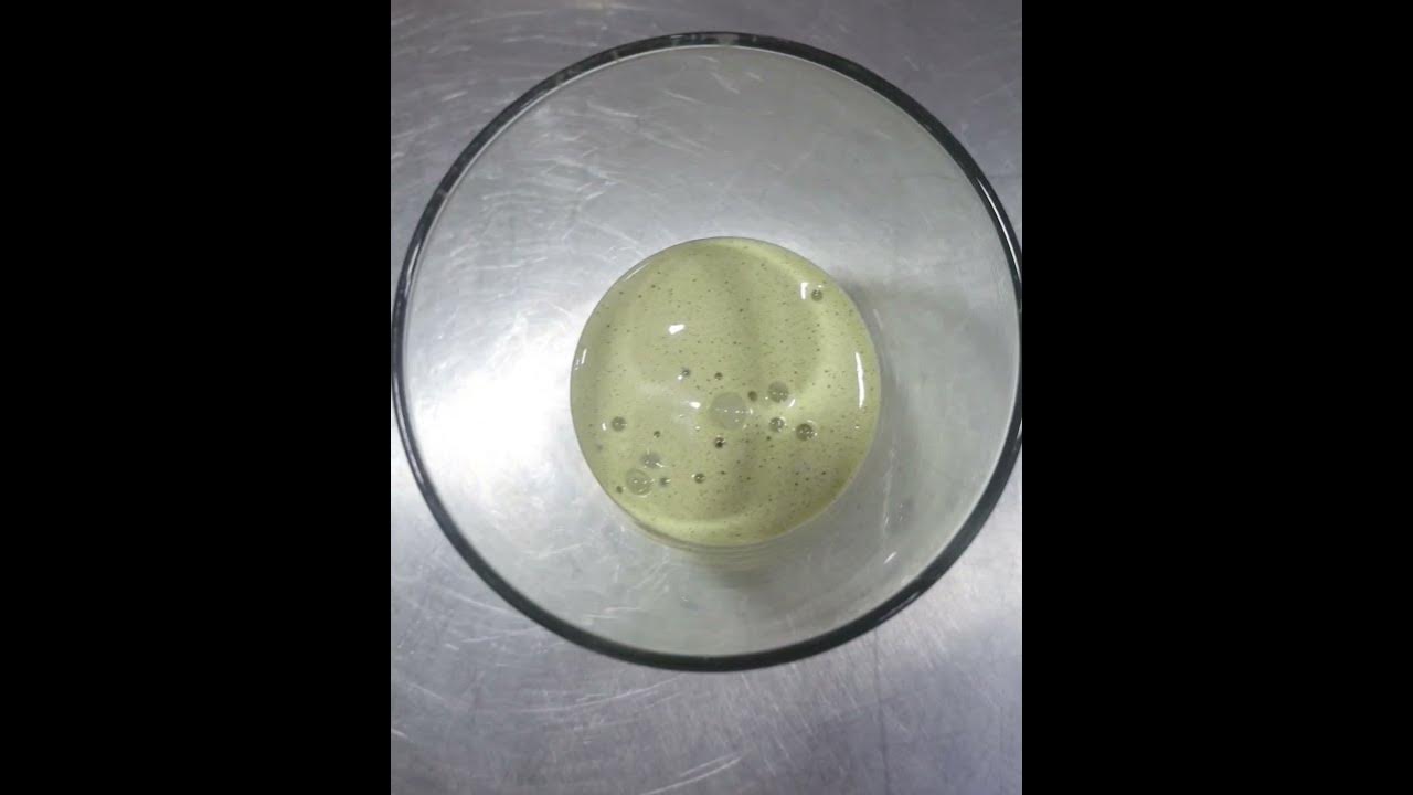Espuma - Molecular Gastronomy #foam #moleculargastronomy #espuma #culinary #recipe