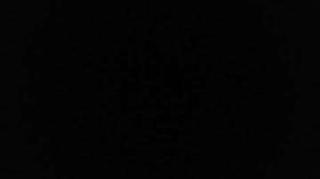 Samsung galaxy s10  message notification sound effect