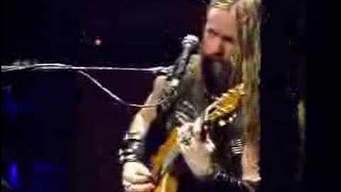 Zakk Wylde - Diary of a Madman