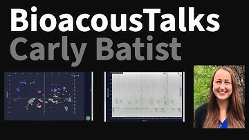 BioacousTalks: The Rainforest Connection (RFXc) and Arbimon Platform with Carly Batist