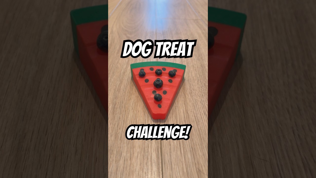MISSED IT! 😳 Dog treat challenge! 