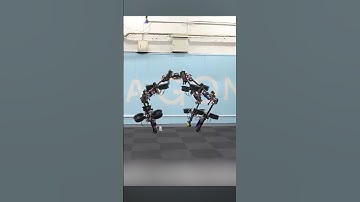 This robot can fly, walk and crawl
