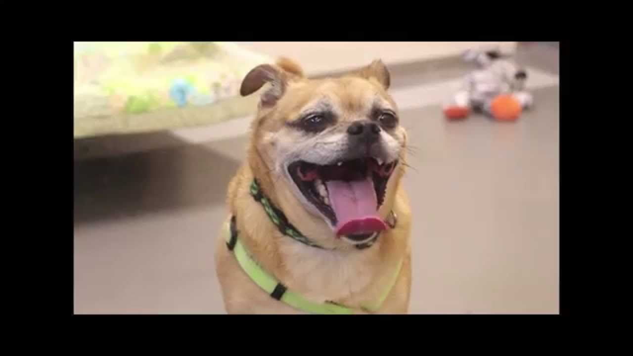 horseshoe bend Tobi wants to sing you the song of his people!