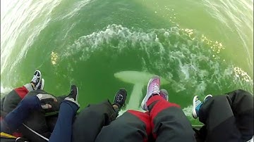 Schock 40 - Canting Keel - Costal Racing - Lightship Regatta 2016