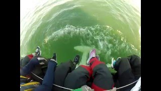 Schock 40 - Canting Keel - Costal Racing - Lightship Regatta 2016