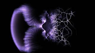 Physarum 4