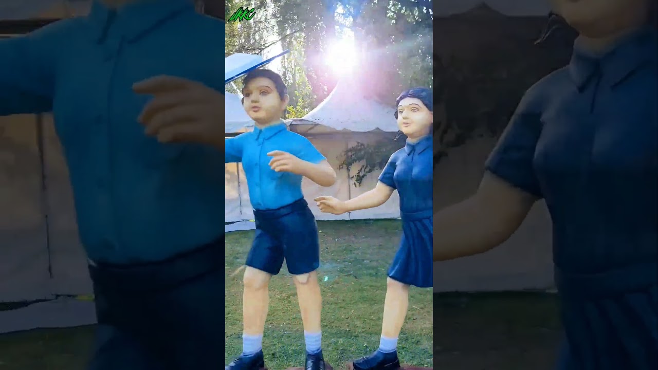 Chinar Book Festival At SKICC in Srinagar Kashmir