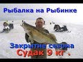 Рыбалка на Рыбинском водохранилище . Судак 9 кг .