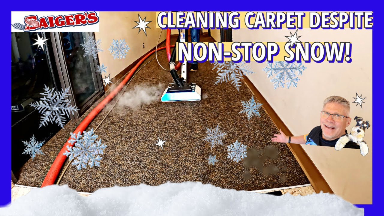 Winter Carpet Cleaning DIY: Transform Your Home with Effective Cleaning Tips