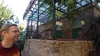 Зоопарк в Ялте