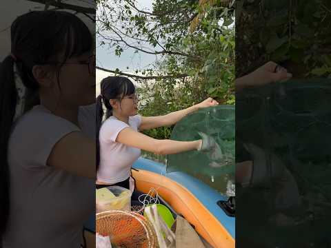 Thả lợp bắt cá sông Đồng Nai P2 #caucathiennhien #cauca #mayfishing #cá #caucagiaitri #haihuoc