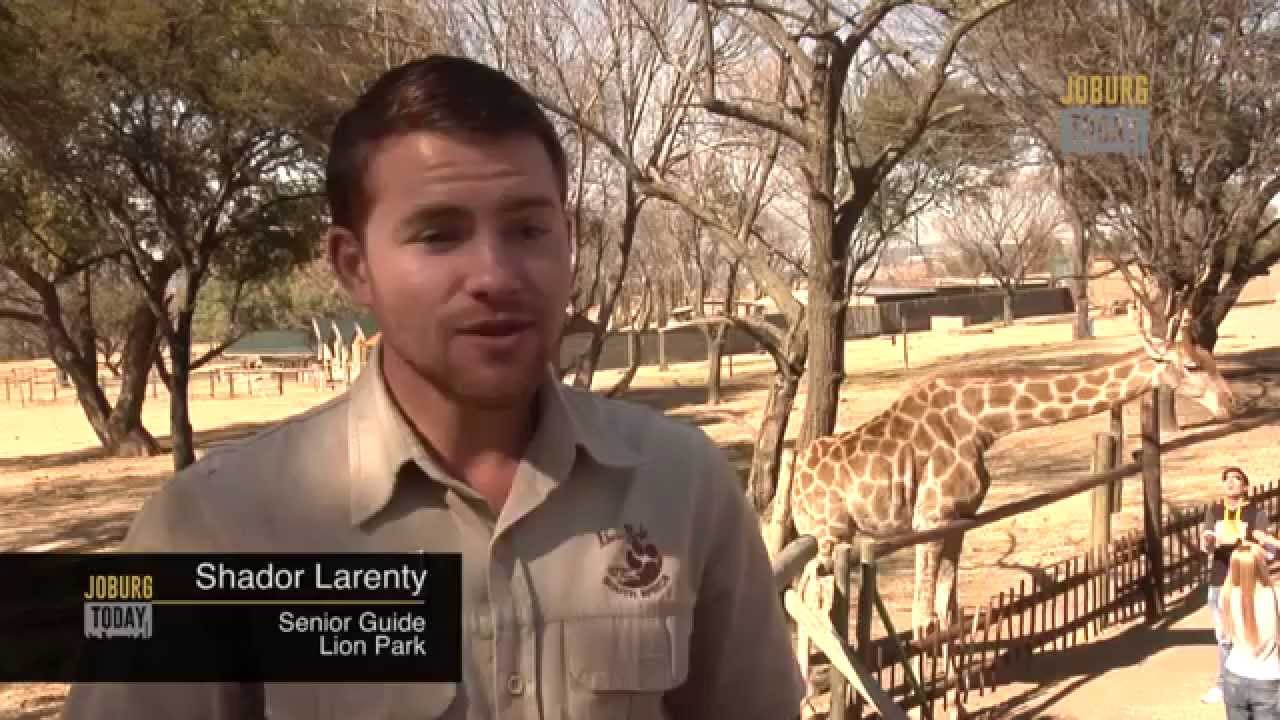 joburgtoday.tv 17 November 2015 YouTube