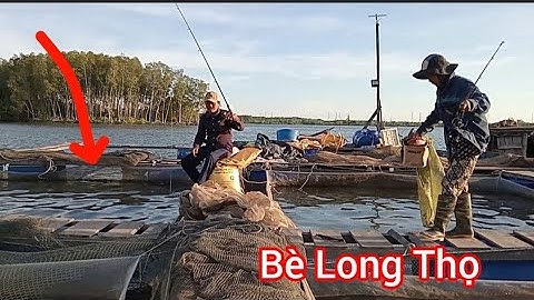 Câu cá Nâu ở Bè Long Thọ với cần thủ Nữ/ Câu Bè Long Thọ @Dammecauca1