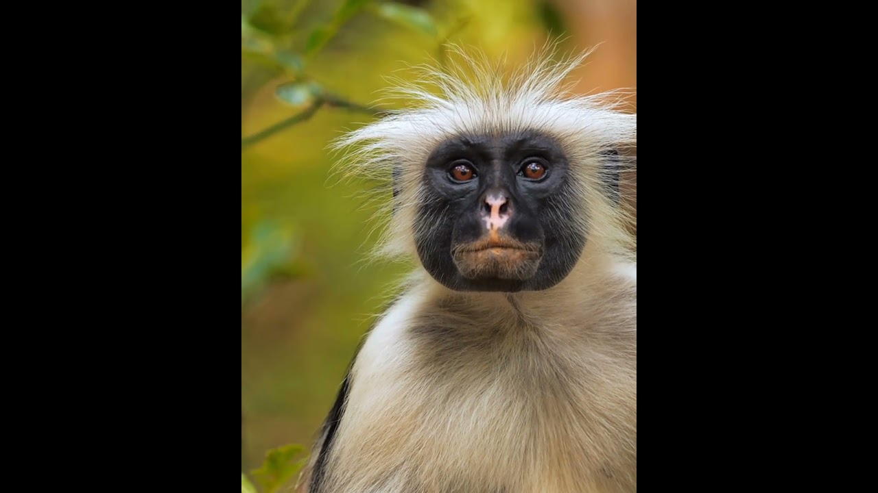 Beautiful Nature With Piano Relaxing Music - Deep Sleep, Insomnia , Meditation music 