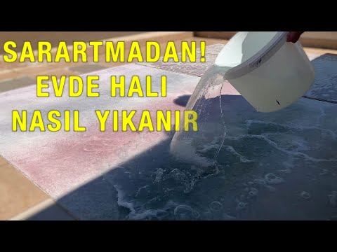 Evde Halı Nasıl Yıkanır 💯 Tüm Detaylarıyla Sararmadan En Temiz En Etkili Elde Halı Yıkama Uygulaması