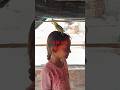 Pure Friendship:Watch This Cute Budgie Perch on Her Head!#BudgieLove #CuteBonding #PetLovers #Shorts