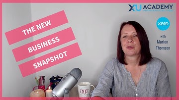 Xero Business Snapshot