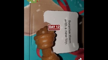 Day 12 - All my Advent Calendars.  This is the last day of Trader Joe