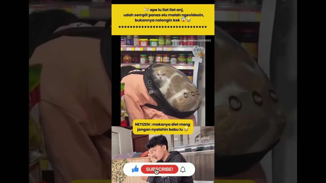 🐈 ape lu liat liat anj, udah sempit panas elu malah ngevideoin,bukannya nolongin kek 😱😭
