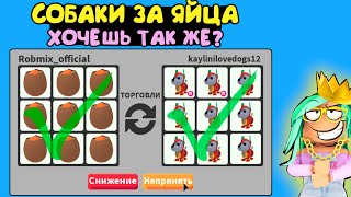 Собаки за яйцаааа! Хочешь ее получить? Смотри! робот собака за яйца в адопт ми adopt me. Обновление