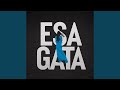 Esa Gata Esa Gata