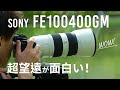 SONY Eマウントの望遠ズーム FE100-400 F4.5-5.6 GM は凄かった！とろけるボケ味初見レビュー