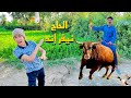 لما ابوك يعمل برنامج مقالب في رمضان الحاج نيفر إند علاء حسين