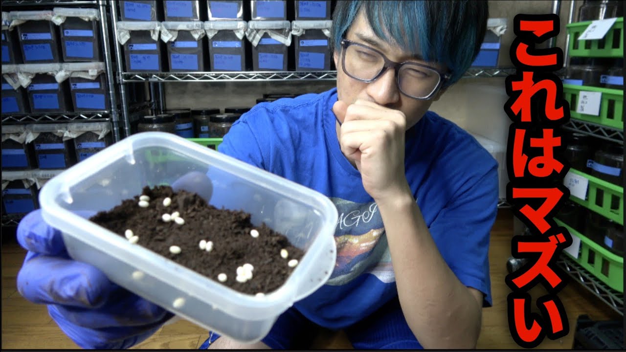 素直に喜びにくい状況になりました