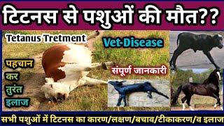 Tetanus(Lock Jaw)in All Animals Symptoms, Etiology,Diagnosis and Treatment||पशुओं में टिटनस का इलाज