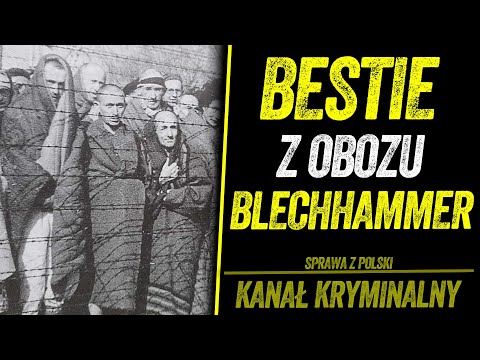 Wideo: Statki bojowe. Krążowniki. Przystojny przegrany