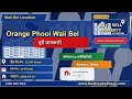 Orange Phool Wali Bel Near By 50 To 100 Sq Yrds Plots Price To Buy