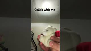 Red flags collab