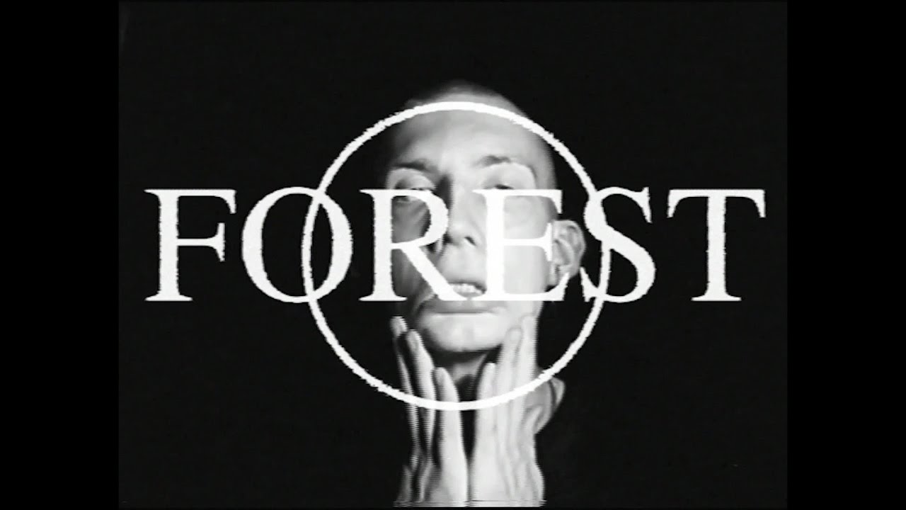Jungle Boys - Forest (official music video)