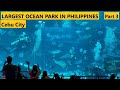 Cebu City, Philippines. OCEAN PARK 3. BIG TANK FEEDING FRENZY.