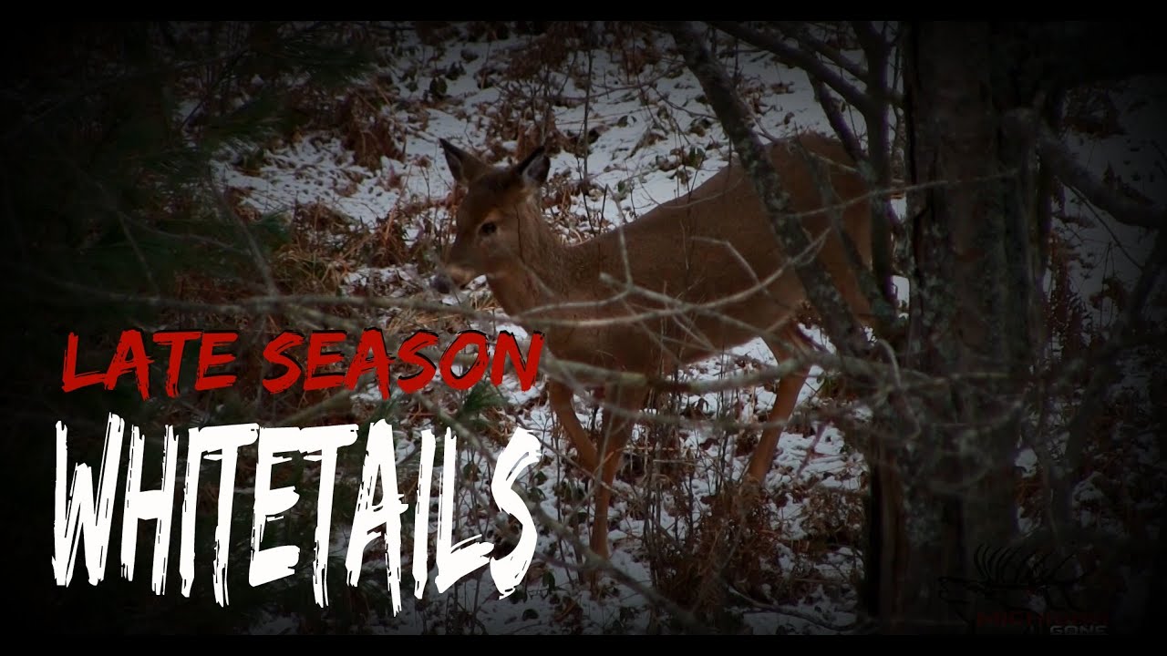 Late Season Deer Hunt With Muzzleloaders in Michigan YouTube