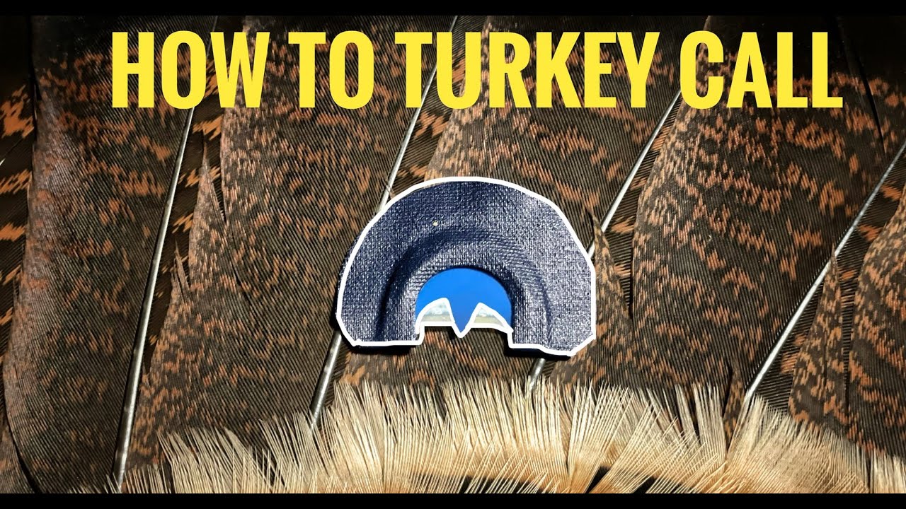 How to Yelp on a Turkey MOUTH Call For Beginners!! YouTube
