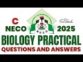 NECO Biology Practical 2025: Specimens H I J K L M N