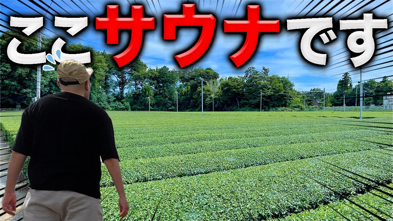 【お茶三昧】180年続くお茶農家が始めた古民家サウナ