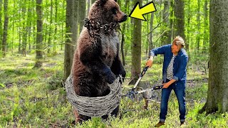 Bear Begged Him To Remove The Snare, But The Hunter Did Something Shocking!