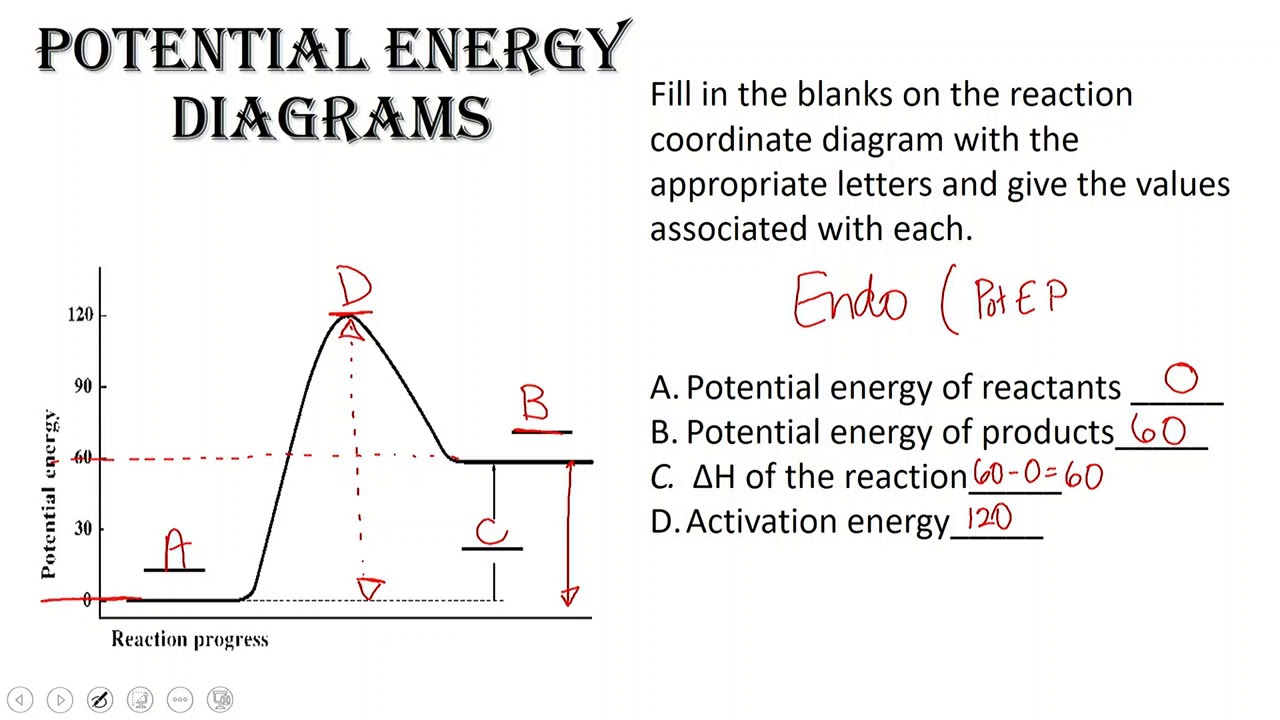 Energy Diagram Physics