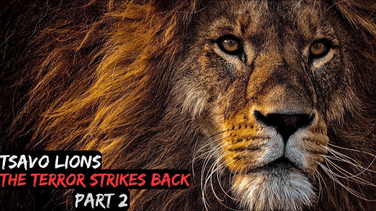 the-man-eating-lions-of-tsavo-ep02-the-terror-strikes-back-full